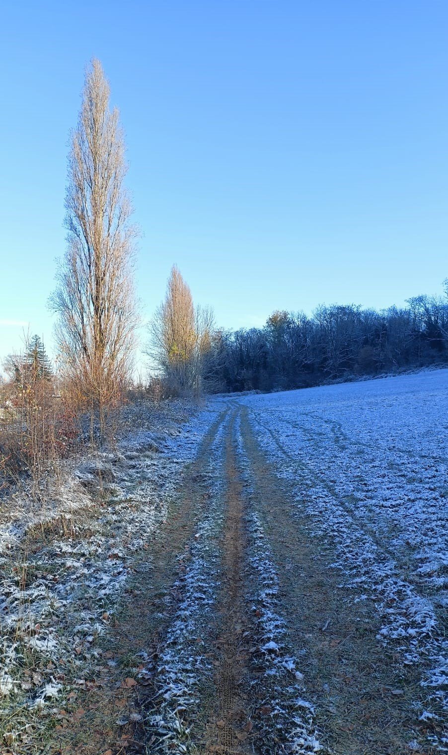 Paysages 